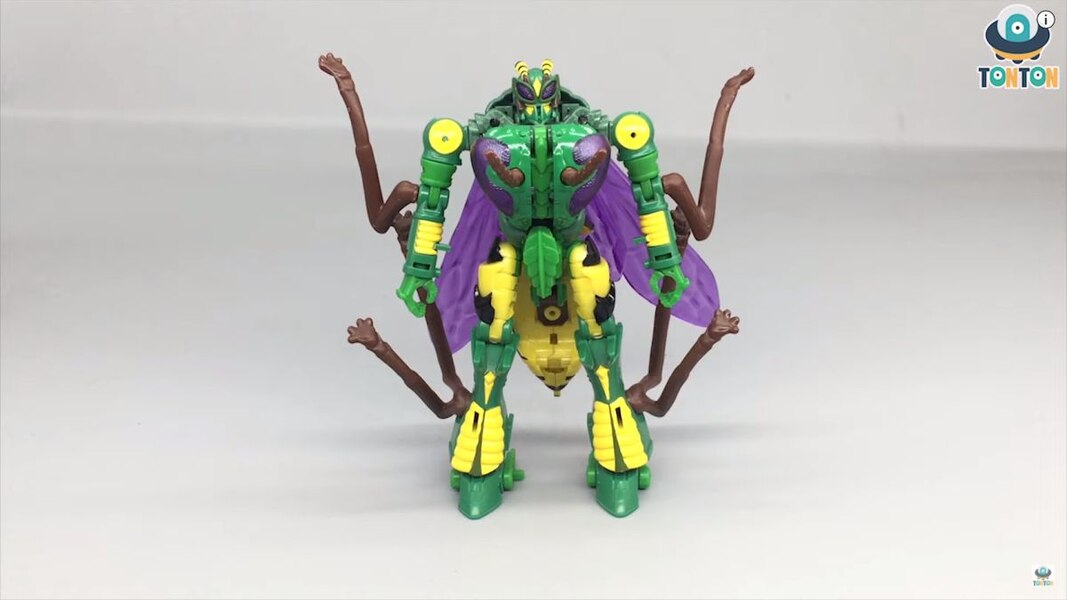 Transformers Kingdom Deluxe Class Waspinator  (17 of 38)